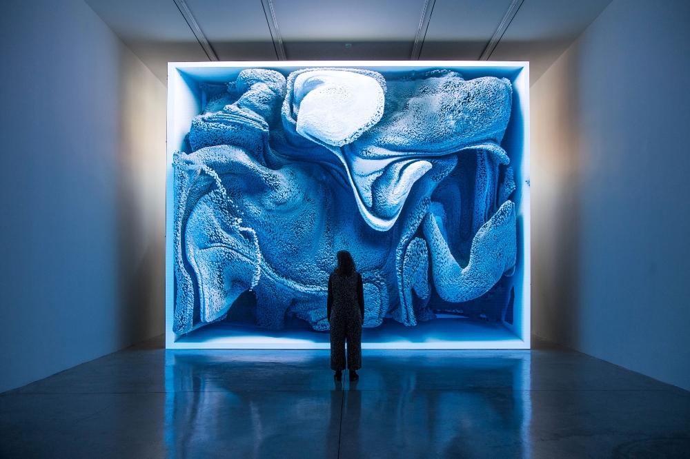 澳门“永利艺赏——人间乐园”艺术展览系列活动展现惊世之作